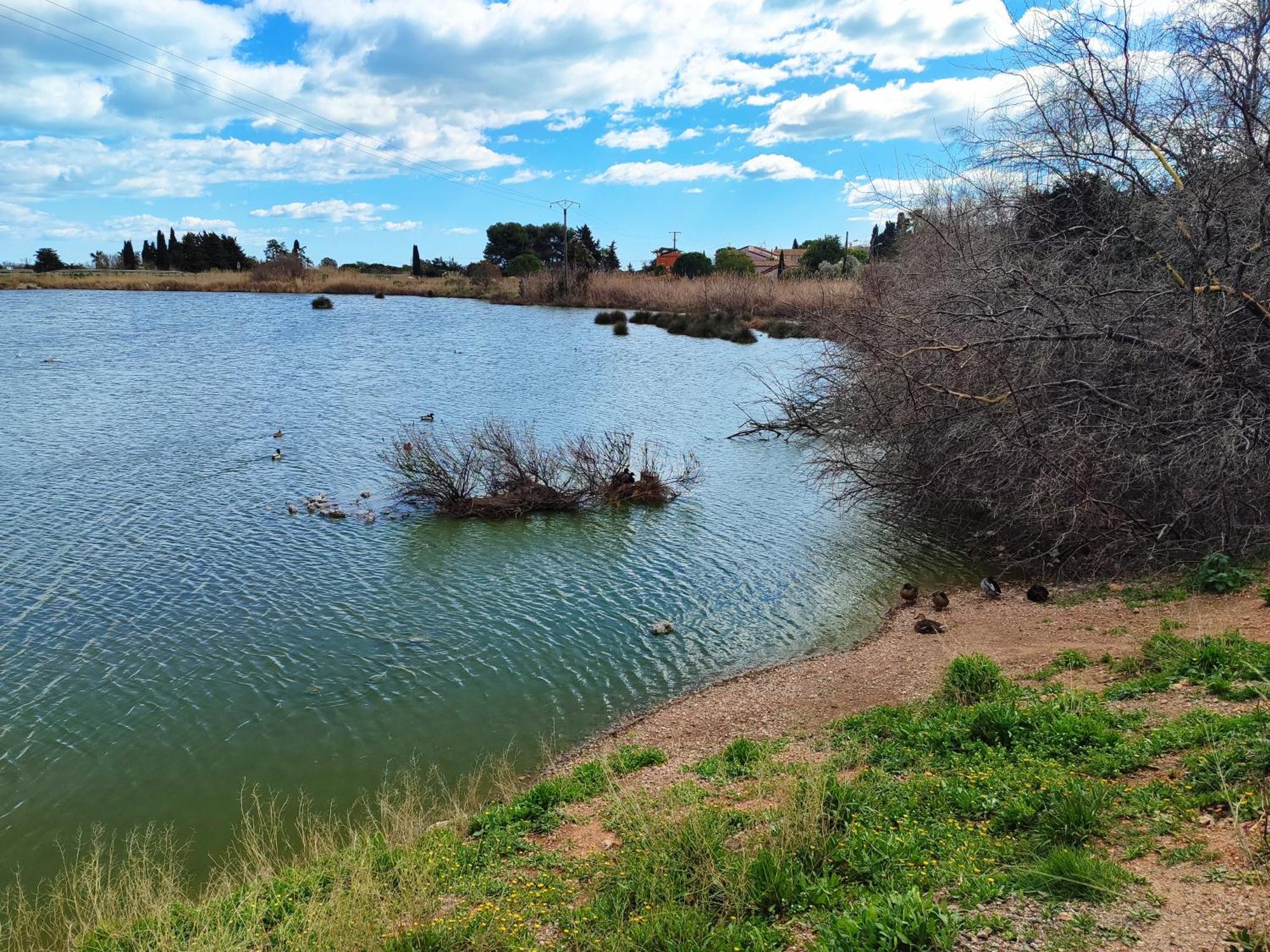 Mobilhome Au Camping Les Salins De La Gardiole Ex Camping Europe Vic-la-Gardiole Dış mekan fotoğraf