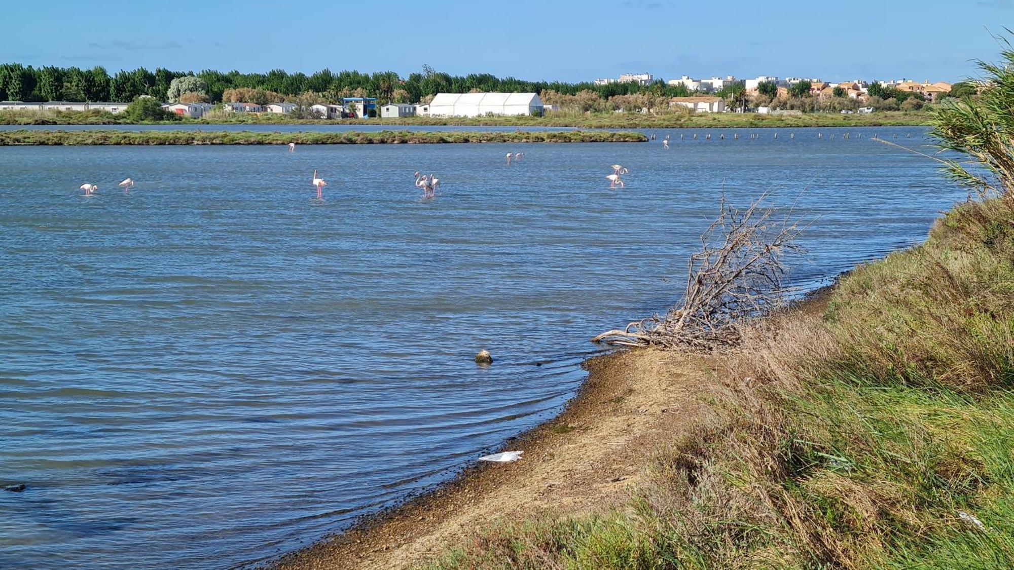 Mobilhome Au Camping Les Salins De La Gardiole Ex Camping Europe Vic-la-Gardiole Dış mekan fotoğraf